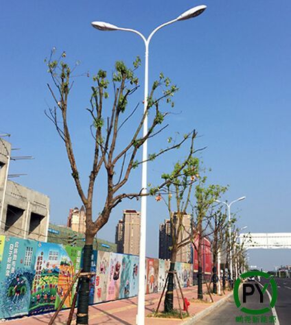 6米50瓦led路燈