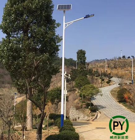農村裝太陽能路燈哪種好